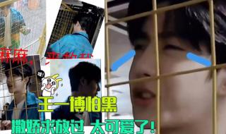 王一博你能同情我吗