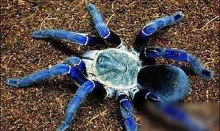 真实地球照片太吓人