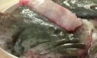 石斑鱼怎么做法好吃