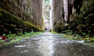 看见味道的你电视剧