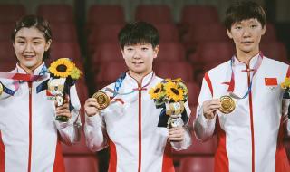 王曼昱个人资料简介