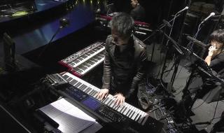 王菲幻乐一场演唱会