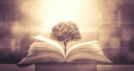 求2014年江西省语文高考答案 2013江西高考语文答案