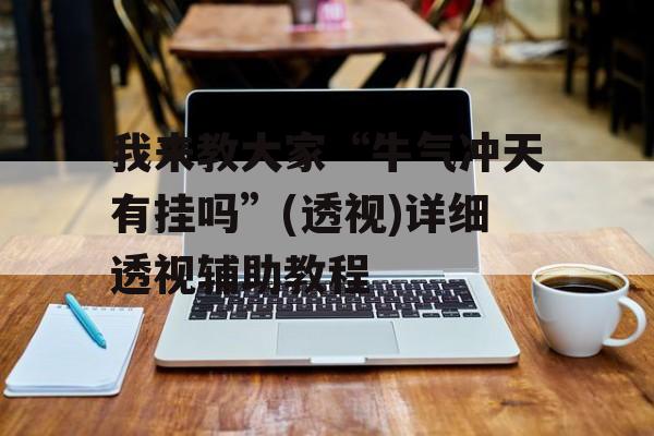 我来教大家“牛气冲天有挂吗”(透视)详细透视辅助教程
