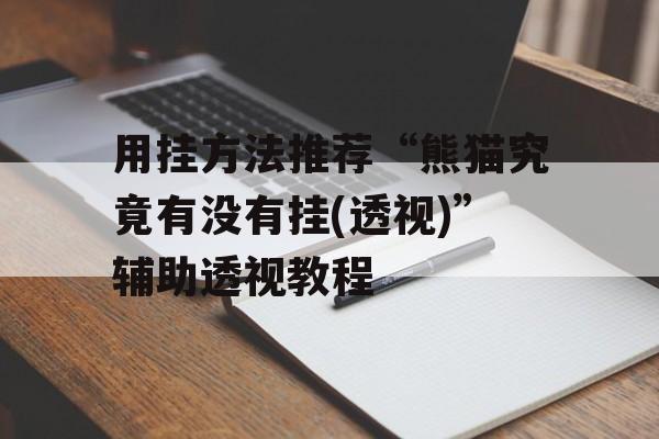 用挂方法推荐“熊猫究竟有没有挂(透视)”辅助透视教程