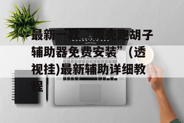 最新一款“微壳跑胡子辅助器免费安装”(透视挂)最新辅助详细教程