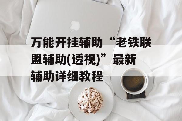 万能开挂辅助“老铁联盟辅助(透视)”最新辅助详细教程