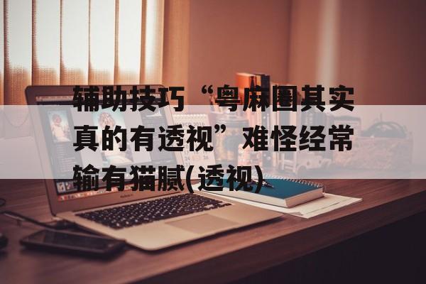 辅助技巧“粤麻圈其实真的有透视”难怪经常输有猫腻(透视)